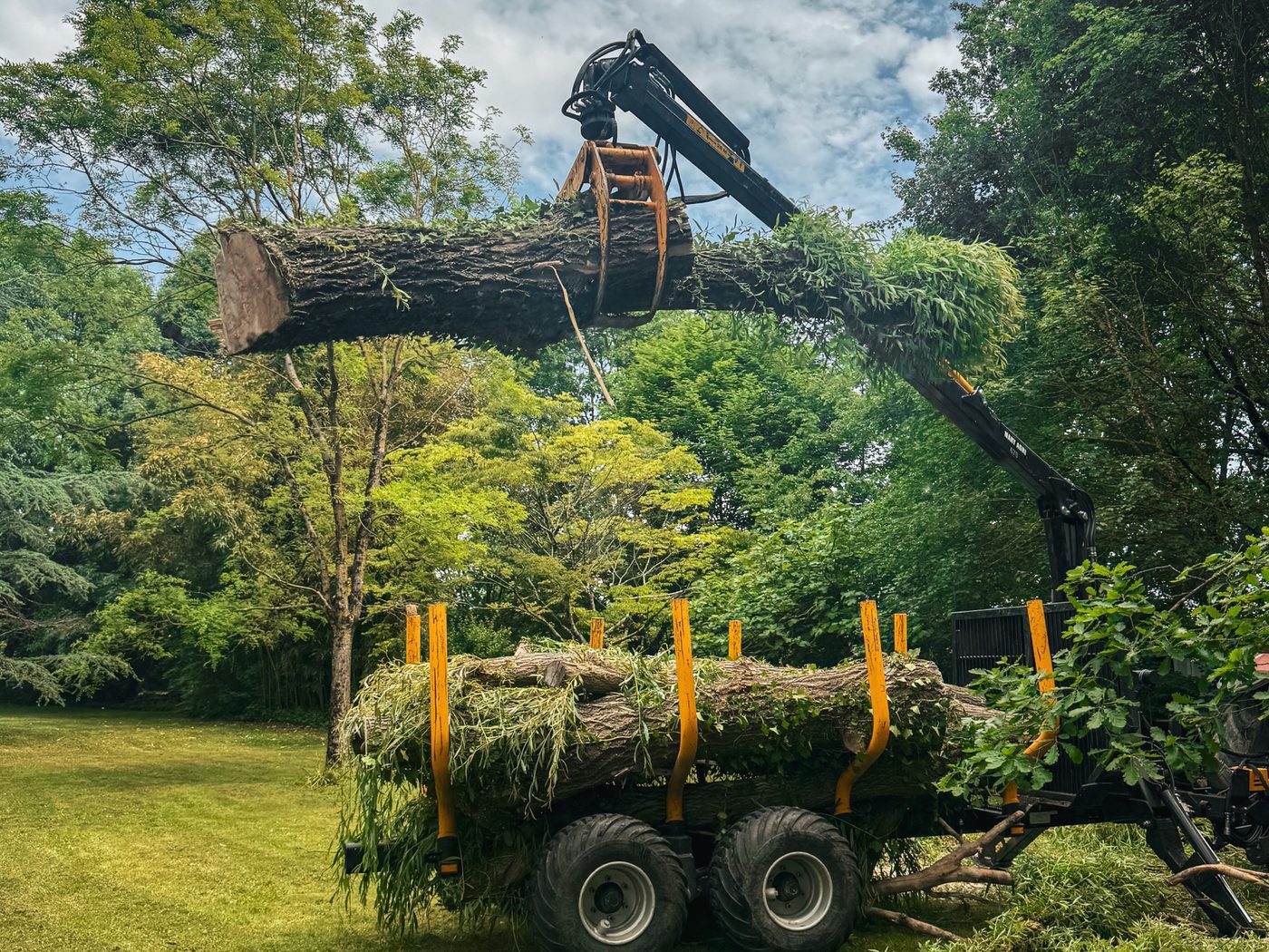 Grume soulevée par une grue de chargement au-dessus d'une remorque forestière