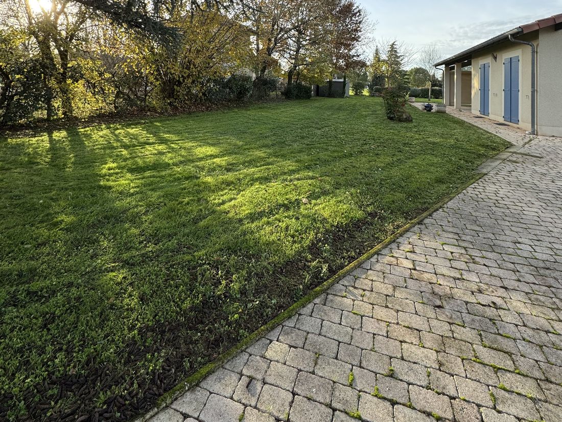 Pelouse tondue et allée pavée dégagée, devant une maison aux volets bleus