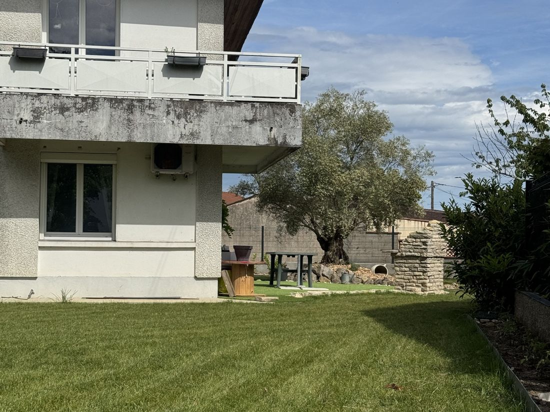 Pelouse nette avec bordure en acier, autour d'un jardin avec un olivier et un barbecue en pierre