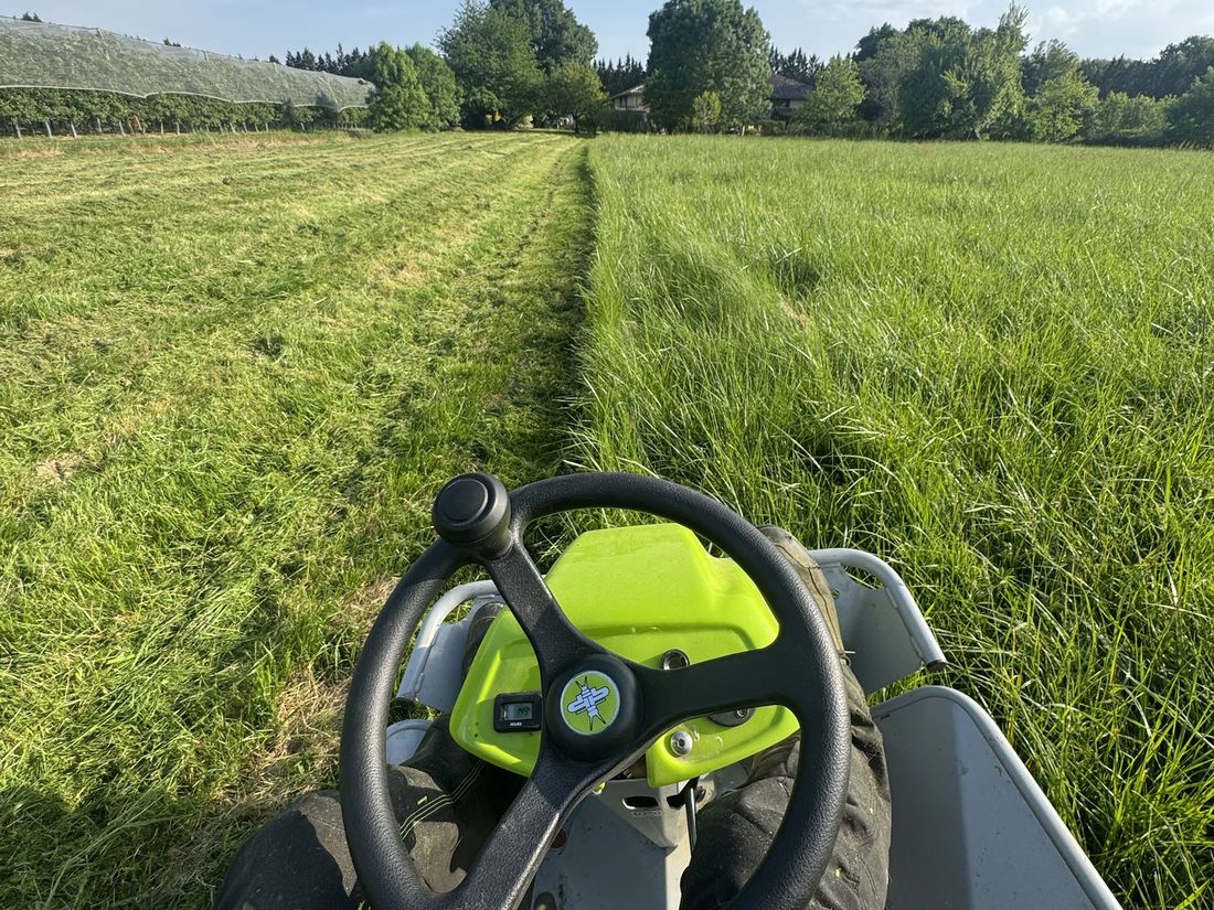Vue depuis une tondeuse autoportée sur un grand terrain, une bande déjà tondue à gauche
